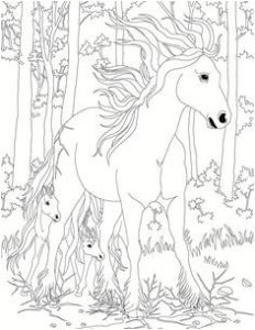 Coloriage Bella Sara Thunder Beautiful Horse Adult Coloring Book Stress Relief Designs