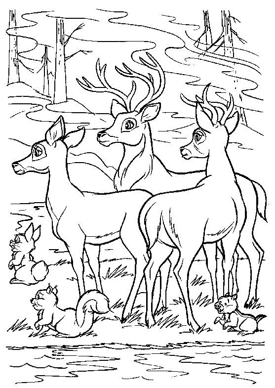 Coloriage Cerf Biche Faon 19 Dessins De Coloriage Cerf Et Biche   Imprimer