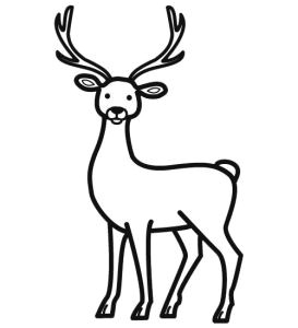 Coloriage Cerf Biche Faon Coloriage Cerf 111 Dessins De Coloriage Cerf   Imprimer Unique
