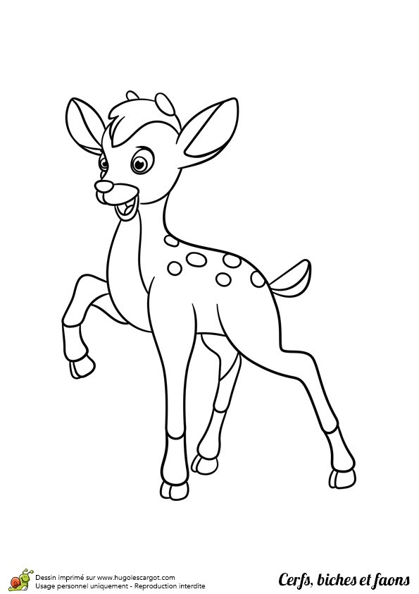 Coloriage Cerf Biche Faon Dessin   Colorier D Un Petit Faon