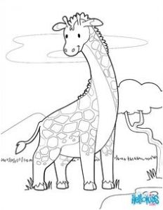 Coloriage Chameau à Imprimer Gratuit 84 Best Coloriages Animaux Sauvages Images On Pinterest