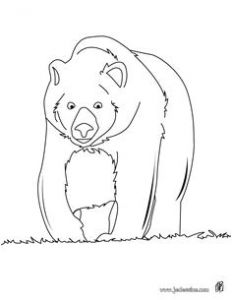 Coloriage Chameau à Imprimer Gratuit 84 Best Coloriages Animaux Sauvages Images On Pinterest