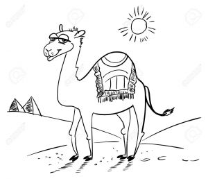 Coloriage Chameau Dans Le Desert Chameau Dans Le Désert Personnage De Dessin Animé Dr´le Vector