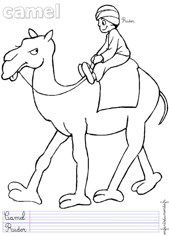 Coloriage Chameau Dans Le Desert Coloriage Chameau 3 Coloriages Animaux Du Désert En Anglais