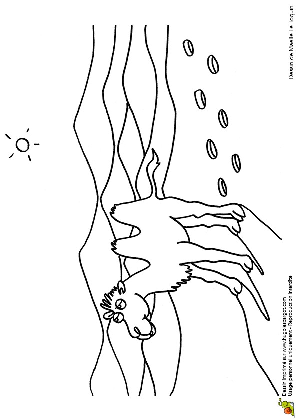 Coloriage Chameau Dans Le Desert Coloriage Chameau Dans Le Desert Sur Hugolescargot