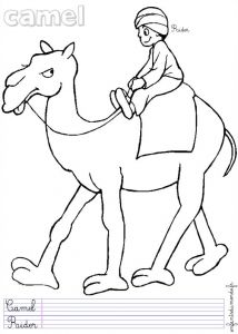 Coloriage Chameau Desert Coloriage Chameau 3 Coloriages Animaux Du Désert En Anglais