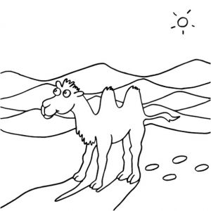 Coloriage Chameau Desert Coloriage Dessin Chameau En Ligne Gratuit   Imprimer