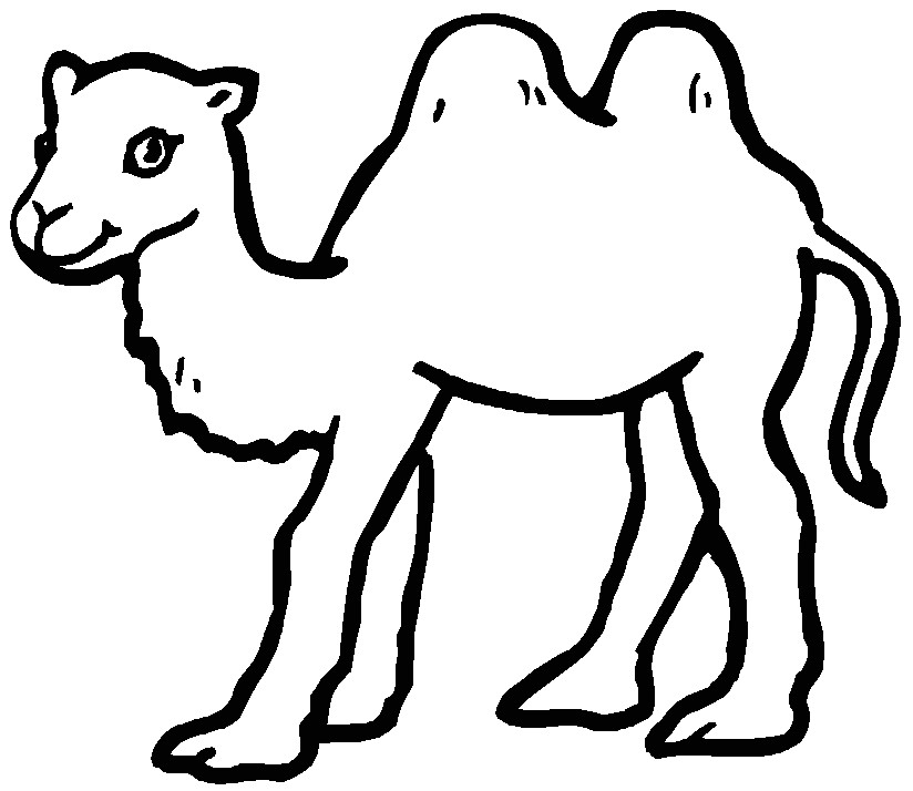 Coloriage Chameau Dromadaire Chameau Animaux – Coloriages   Imprimer
