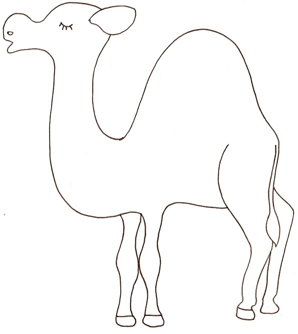 Coloriage Chameau Dromadaire Coloriage D Un Dromadaire Tªte   Modeler