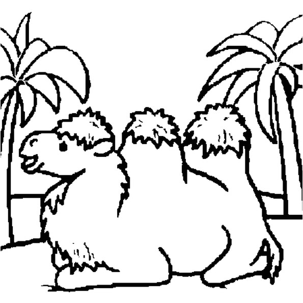 Coloriage Chameau En Ligne Coloriage Chameau En Ligne Gratuit   Imprimer