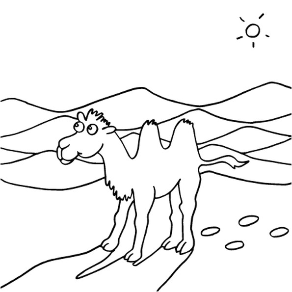 Coloriage Chameau En Ligne Coloriage Dessin Chameau En Ligne Gratuit   Imprimer