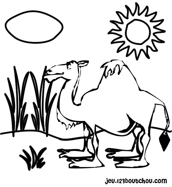 Coloriage Chameau En Ligne Sélection De Coloriage Chameau   Imprimer Sur Laguerche Page 2