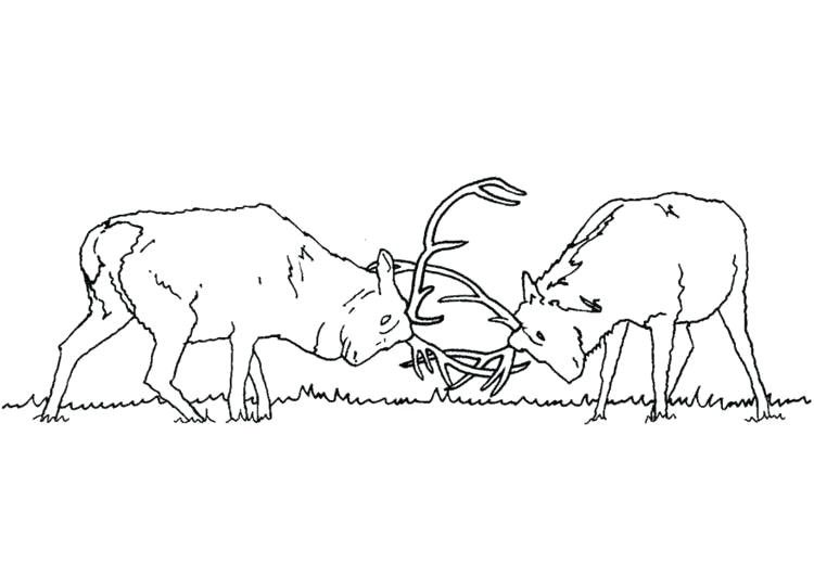 Coloriage Chasseur Sanglier Cerf Coloriage Chasseur Sanglier – Fashionzenfo