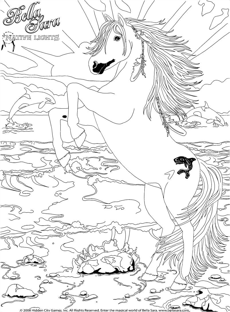 Coloriage Cheval Bella Sara Coloriage Bella Sara Les Beaux Dessins De Dessin Animé   Imprimer