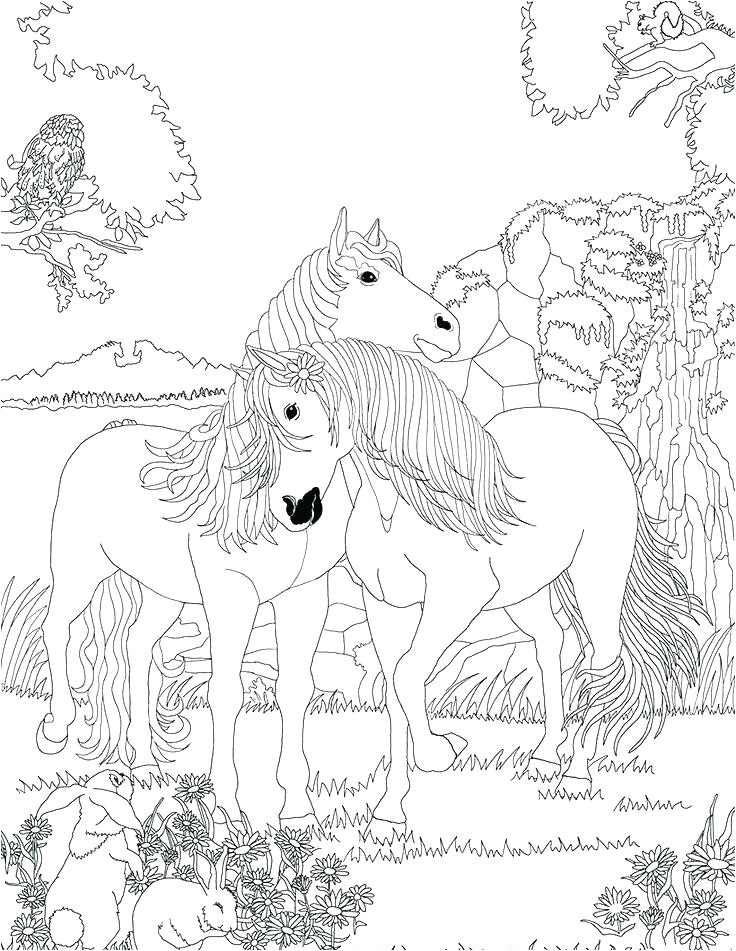 Coloriage Cheval Bella Sara Jeux De Coloriage De Chevaux Brawler