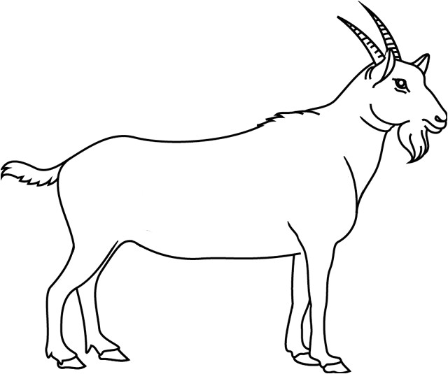 Coloriage Chevre Et Chevreau Coloriage Ch¨vre   Colorier Dessin   Imprimer