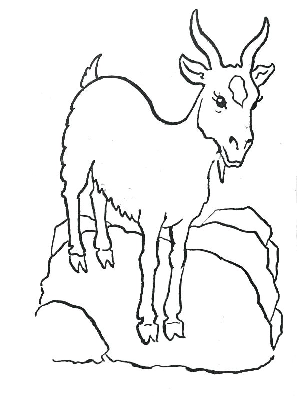 Coloriage Chevre Et Chevreau Coloriage Chevre Les Beaux Dessins De Animaux A Imprimer Et Colorier