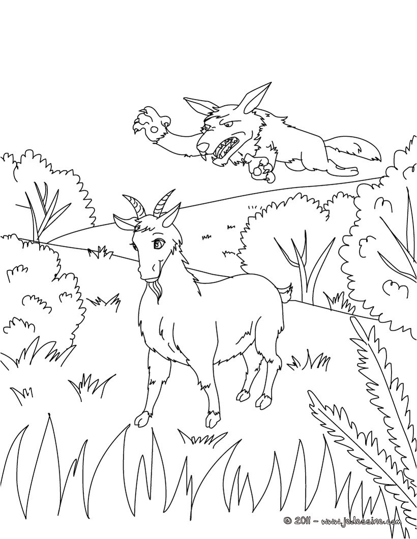 Coloriage Chevre Et Loup Coloriage Chevre Les Beaux Dessins De   Imprimer Et Colorier Page 2