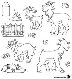 Coloriage Chevre Facile Coloriage Ch¨vre   Colorier Dessin   Imprimer