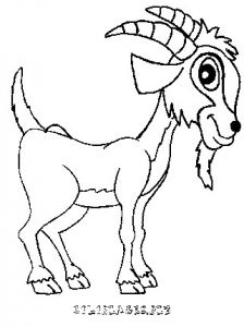 Coloriage Chevre Monsieur Seguin Coloriage Chevre De M Seguin Gratuit Animaux