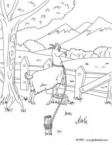 Coloriage Chevre Monsieur Seguin La Ch¨vre De Monsieur Seguin Alphonse Daudet Des Documents