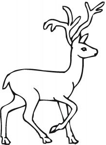 Coloriage Chevreuil A Imprimer Chevreuil 17 Animaux – Coloriages Imprimer