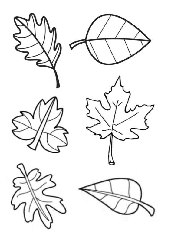 Coloriage D Une Feuille D Automne 41 Best Enfant Images On Pinterest