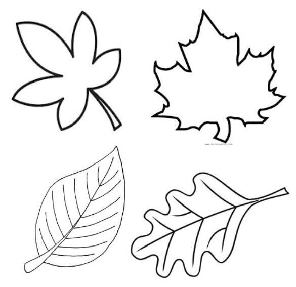 Coloriage D Une Feuille D Automne Coloriage D Automne Moyenne Section Meilleures Idées Coloriage