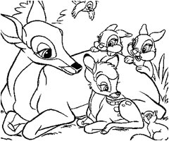 Coloriage De Biche A Imprimer Gratuit 145 Dessins De Coloriage Animaux   Imprimer