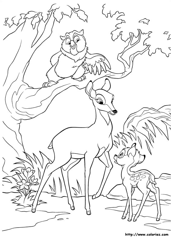 Coloriage De Biche A Imprimer Gratuit Coloriage Bambi Les Beaux Dessins De Disney   Imprimer Et Colorier