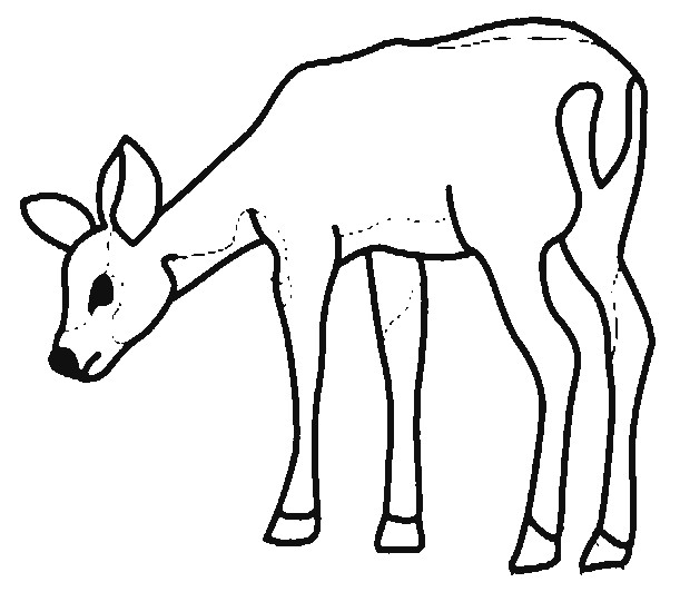 Coloriage De Biche A Imprimer Gratuit Coloriage Page 3