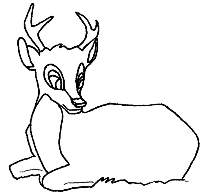 Coloriage De Biche A Imprimer Gratuit Dauphin Colorier Centerblog Coloriage De Dauphins Dessin Dessiner Coloriage De Biche A Imprimer Gratuit Dauphin Colorier Centerblog Coloriage De Dauphins Dessin Dessiner