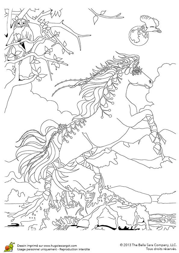 Coloriage De Chevaux Bella Sara A Imprimer Bella Sara Et athena Se Lancent A L Aventure