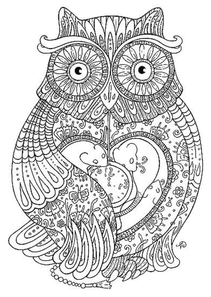 Coloriage De Chouette Effraie Imagen Relacionada Mandalas