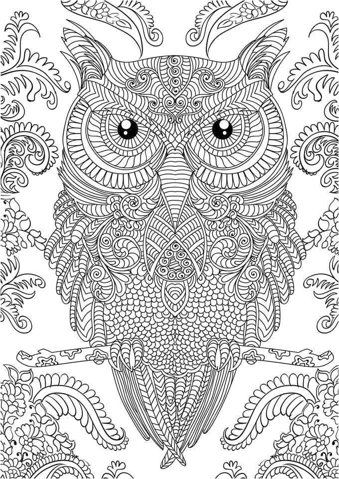 Coloriage De Chouette Effraie Les 605 Meilleures Images Du Tableau 81 Bay KuÅ Sur Pinterest