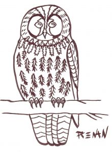 Coloriage De Chouette Hulotte Coloriage Chouette Hulotte