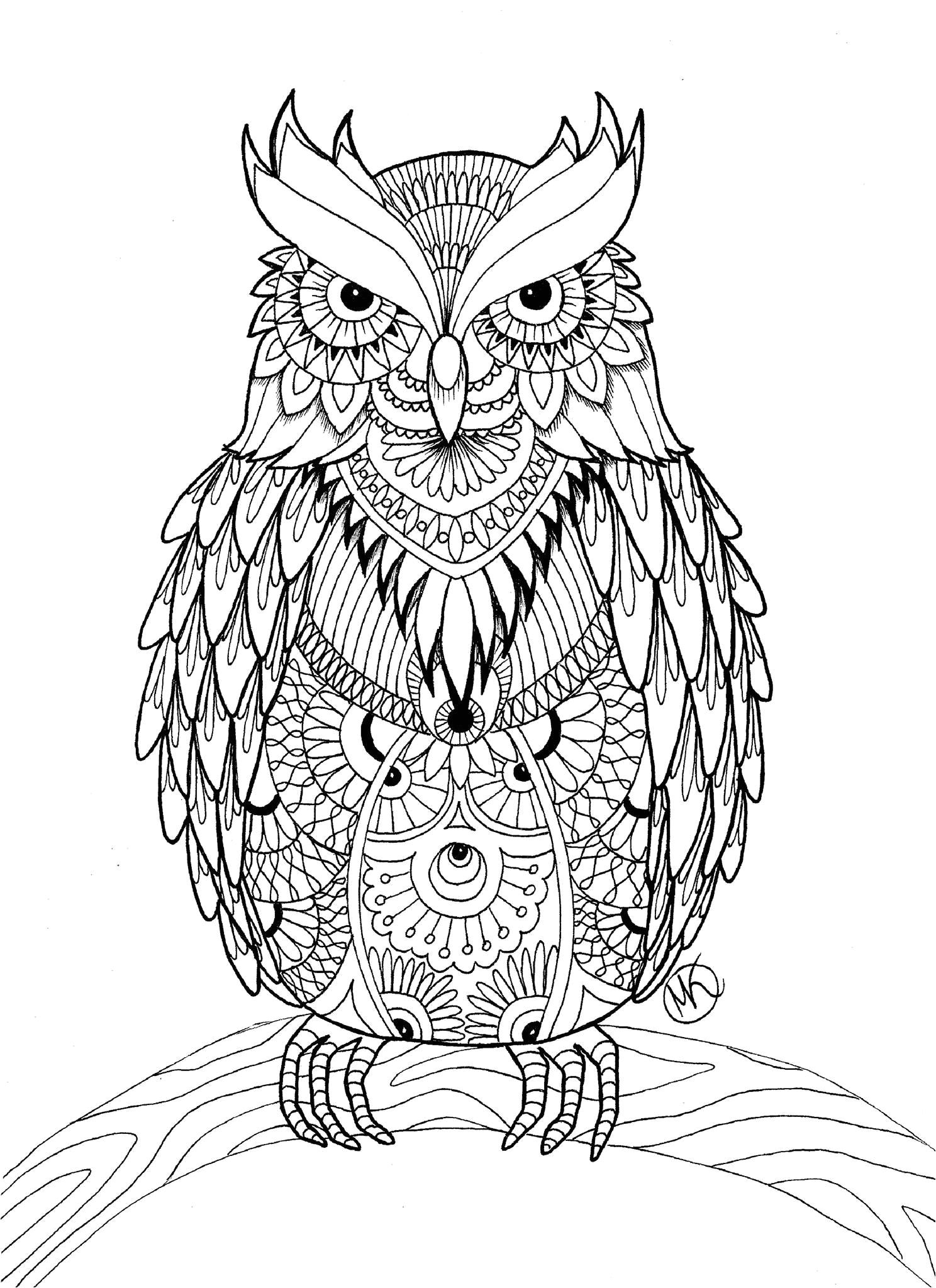 Coloriage De Chouette Ou Hibou Artist MiÄdzy Kreskami Coloring Pages Pinterest