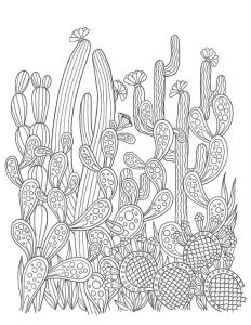Coloriage De Fleur Pour Adulte épinglé Par Letty De La Cerda Sur Coloring Pages