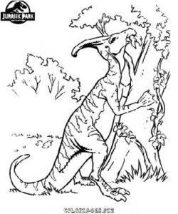 Coloriage De Jurassic Park A Imprimer Coloriage Jurassic Park 3