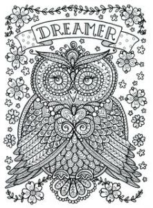 Coloriage De Mandala De Chouette 269 Best Owl Coloring Pages for Adults Images On Pinterest