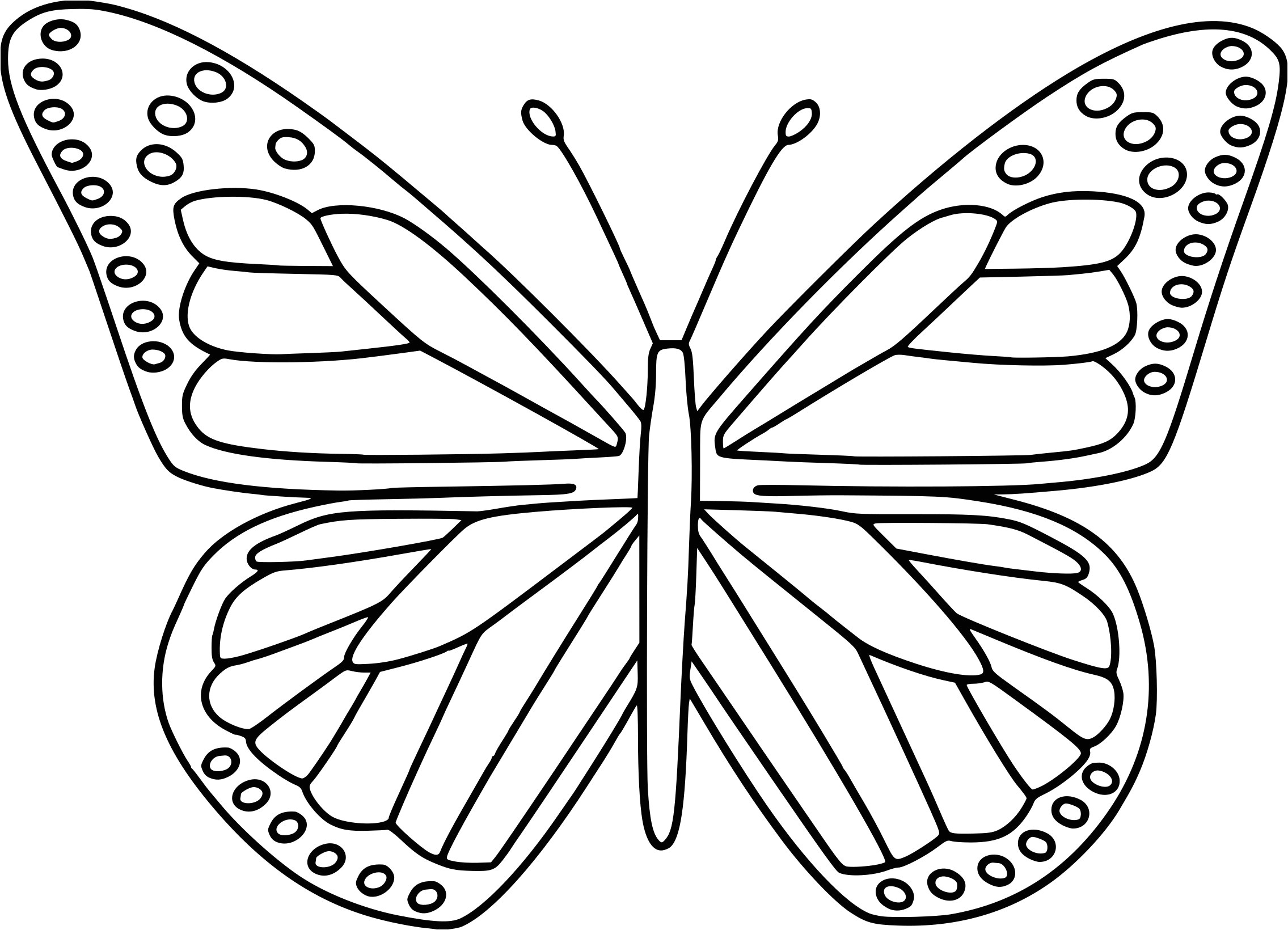 Coloriage De Papillon à Imprimer Gratuitement Papillon A Dessiner Galerie Tatouage