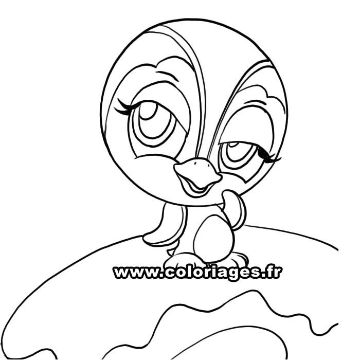 Coloriage De Petshop à Imprimer 116 Dessins De Coloriage Pingouin   Imprimer
