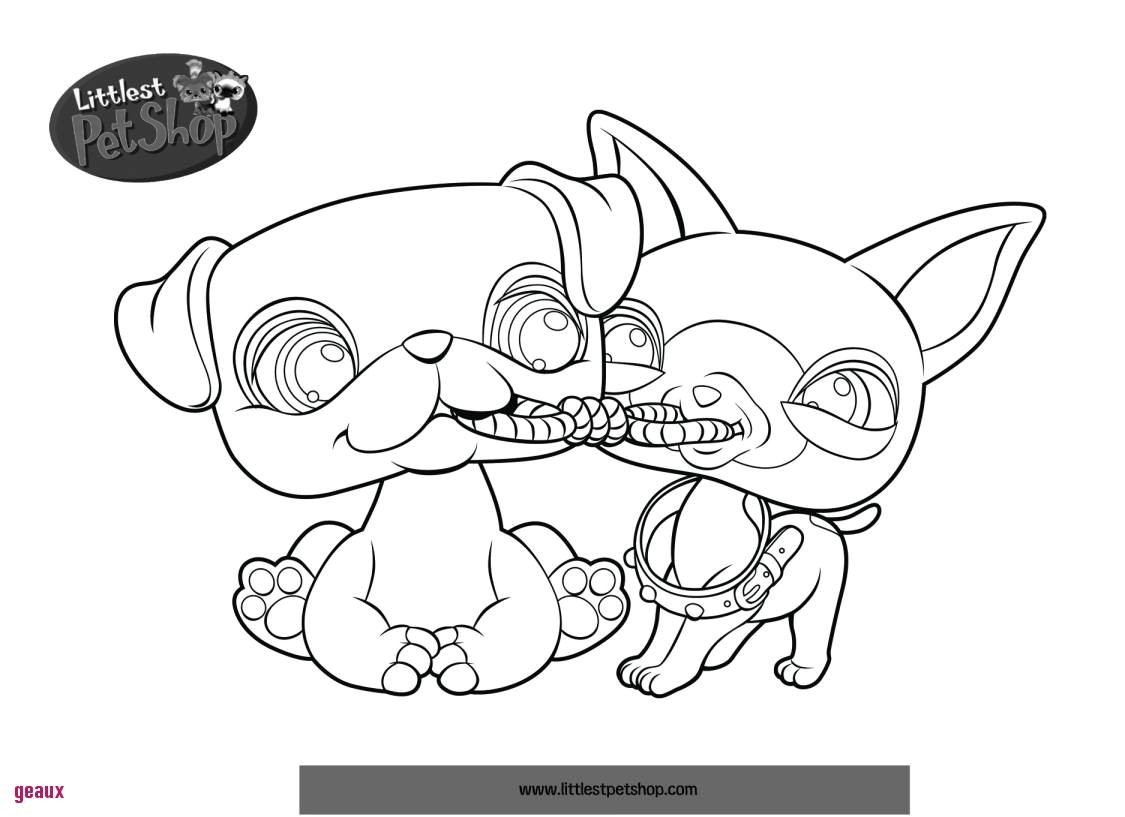 Coloriage De Petshop Chien Coloriage De Chat Et Chien Gratuit Elégant Mod¨le Clubdemax