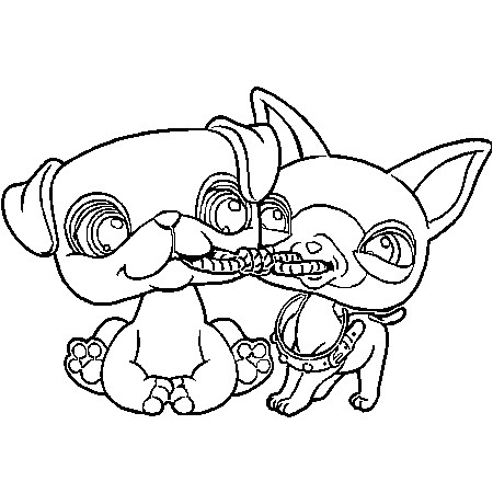 Coloriage De Petshop Chien Les 14 Meilleures Images Du Tableau Chien Sur Pinterest