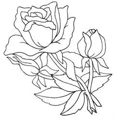 Coloriage De Rosas Coloriage Une Rose Et Des Boutons De Rose Dory Coloriages
