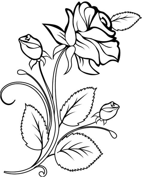 Coloriage De Rosas Coloriage Une Rose Et Des Boutons De Rose Dory Coloriages