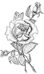 Coloriage De Rosas épinglé Par theresa May Sur Ink Drawings Pinterest