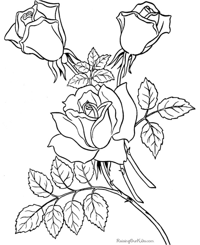 Coloriage De Rosas Free Coloring Pages Sheets Of Roses 007 Pinterest