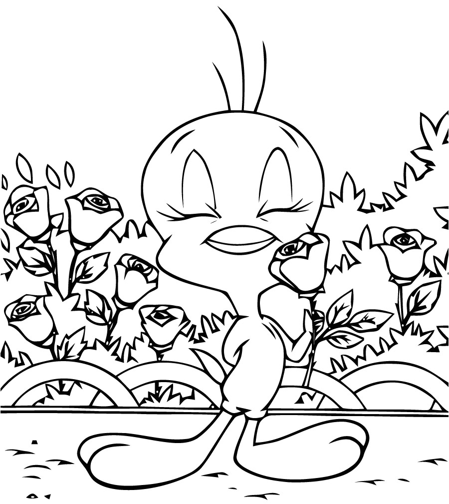 Coloriage De Titi A Imprimer Gratuit 65 Dessins De Coloriage Titi Et Grosminet   Imprimer Sur Laguerche