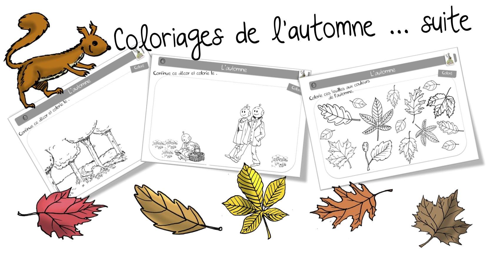 Coloriage Détente Cp écureuil Résultats De Recherche